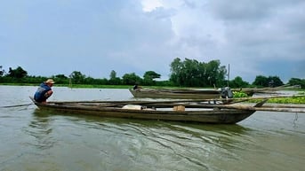 Búng Bình Thiên mùa nước chuyển màu
