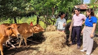Quan tâm bố trí nguồn vốn ủy thác từ ngân sách địa phương