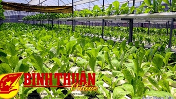 Đức Linh: Nhiều mô hình ra đời từ phong trào thi đua “Dân vận khéo”