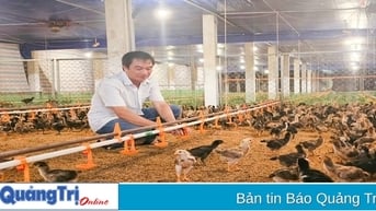 Phát huy hiệu quả của quỹ hỗ trợ phát triển hợp tác xã