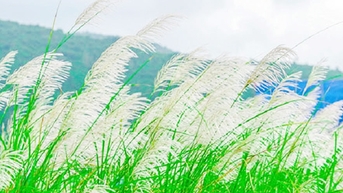 ឆ្លងកាត់ទឹកដីចាស់