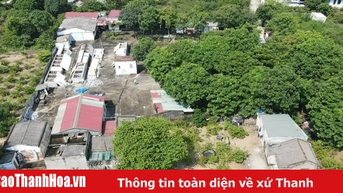 Chủ tịch UBND cấp xã được cấp giấy chứng nhận quyền sử dụng đất từ ngày 1/7