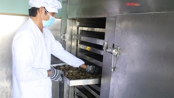 Chạm vào bản sắc Hậu Giang qua mỗi sản phẩm OCOP