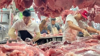 Đầu tư bài bản cho 'thịt sạch'