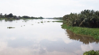 Long An: Chủ động ứng phó với mưa lớn, lũ, triều cường, ngập úng, sạt lở đất