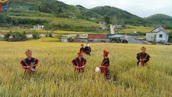 Quảng Ninh có thêm 4 di sản văn hóa phi vật thể quốc gia