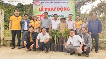 Tổng kết 10 năm thực hiện Chỉ thị số 05 của Bộ Chính trị về đẩy mạnh học tập và làm theo tư tưởng, đạo đức, phong cách Hồ Chí Minh: Nông dân Khánh Sơn thi đua sản xuất, kinh doanh giỏi