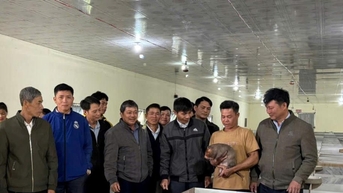 Độc đáo mô hình nuôi dúi ở vùng biên Đắk Nông