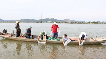 Thả 400.000 tôm sú giống trên sông Gianh
