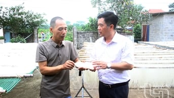 Mỳ Tiến Diện chinh phục thị trường Đức