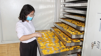 Bắc Giang: Giải ngân gần 50 tỷ đồng hỗ trợ phát triển sản xuất nông, lâm nghiệp và thủy sản