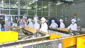 Hơn 1 nghìn doanh nghiệp đăng ký thành lập mới