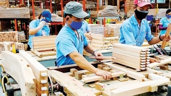 Hoa Kỳ điều tra gỗ dán Việt Nam, hơn 130 doanh nghiệp đối mặt nguy cơ áp thuế