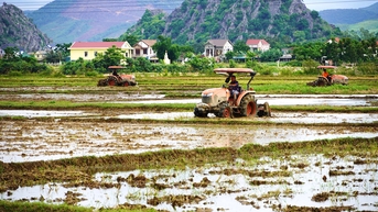 Khẩn trương xuống giống vụ hè-thu