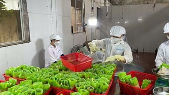 Huyện Lạc Thủy - để sản phẩm OCOP không chỉ là danh hiệu