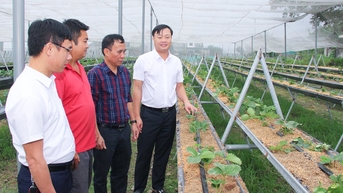 Hưng Nguyên với nhiều kết quả nổi bật về kinh tế - xã hội giai đoạn 2020 - 2025