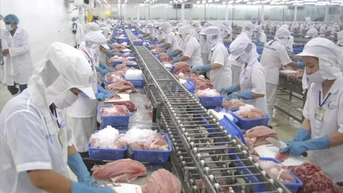 Việt Nam vừa thu 28 tỷ USD nông sản, khách nào 'sộp' nhất?