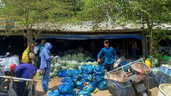 Sôi động chợ hàng rẫy nông thôn