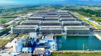 Đề xuất xây hai dự án 'chung cư 6 tầng' nuôi heo đầu tiên tại Việt Nam