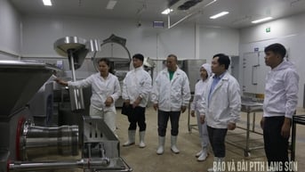 Kiểm tra an toàn thực phẩm lĩnh vực nông nghiệp tại huyện Cao Lộc