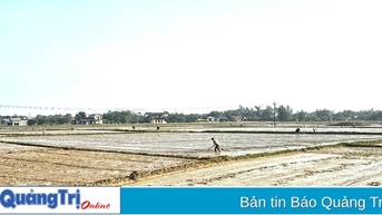 Chủ động điều tiết nước phục vụ vụ hè thu