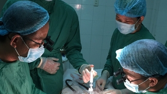 Quảng Nam lần đầu tiên đăng cai hội nghị khoa học mạng lưới chấn thương chỉnh hình phía Nam