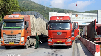 5 tháng đầu năm, thu ngân sách từ xuất nhập khẩu tăng 9,2%