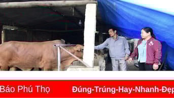 Cự Thắng vươn lên từ nội lực