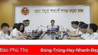 Hỗ trợ, hướng dẫn, giải đáp vướng mắc của hộ kinh doanh trong đăng ký, sử dụng hóa đơn điện tử khởi tạo từ máy tính tiền