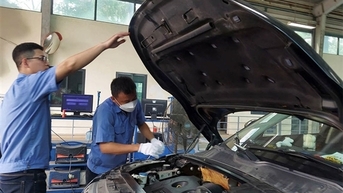 Hàng trăm nghìn xe kinh doanh vận tải vướng đăng kiểm
