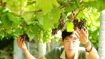 Chàng trai Ninh Thuận biến khu vườn xơ xác thành chốn thư giãn, đẹp như mơ