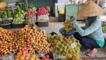 “Bản giao hưởng” trái cây mùa hạ