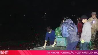 Cảng cá nhộn nhịp, ngư dân Hà Tĩnh tự tin bám biển