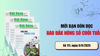 Mời các bạn đọc số báo cuối tuần "Chặn dòng thuốc giả"