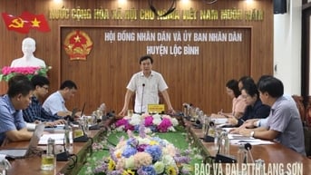 Kiểm tra công tác phòng, chống thiên tại huyện Lộc Bình