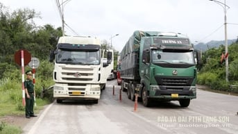 Tạo thuận lợi tối đa cho vải thiều xuất khẩu