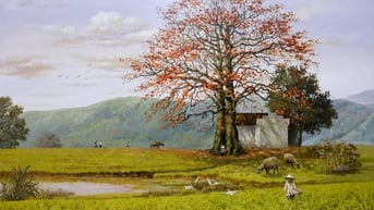 Những ngày hè rực rỡ