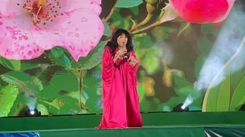 Thanh Lam, Việt Hoàn thăng hoa trong đêm nhạc hát vì môi trường