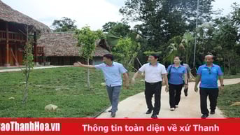 Lối riêng mình chọn