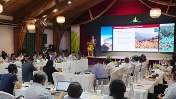 Tìm mô hình tiếp cận du lịch xanh hiệu quả cho Quảng Nam