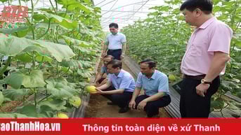 Nông dân vùng dân tộc thiểu số và miền núi vượt khó làm giàu