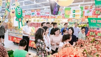 Khai trương, mở bán sản phẩm vải thiều Thanh Hà tại Hệ thống siêu thị GO!