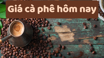 Giá cà phê hôm nay 6/6/2025: Tăng khiêm tốn chỉ 100 đồng/kg