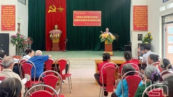 Trợ giúp pháp lý và tư vấn pháp luật cho người cao tuổi