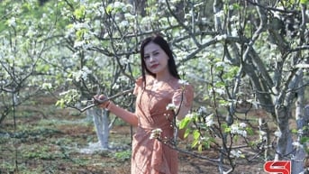 Du lịch sinh thái từ vùng cây ăn quả