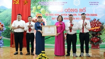 Xã Phúc Ninh đạt chuẩn nông thôn mới kiểu mẫu