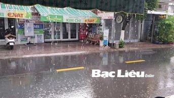 Cảnh báo mưa lớn gây ngập úng trên địa bàn tỉnh Bạc Liêu