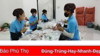 Giá cả thị trường ngày 7/6/2025