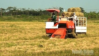 Nông nghiệp tuần hoàn: Chìa khóa cho tương lai bền vững