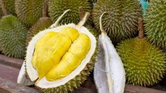 Giá sầu riêng hôm nay 7/6: Philippines mở cửa xuất khẩu...
